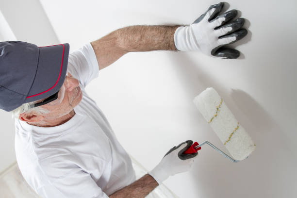 Best Mold Removal for HVAC Installations  in Staten Island, NY