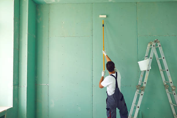 Best Mold Damage Restoration  in Staten Island, NY