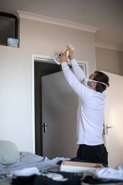  Staten Island, NY Mold Removal Pros