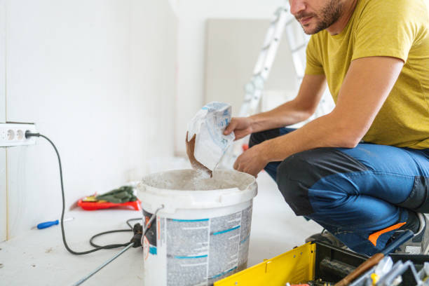 Best Black Mold Removal  in Staten Island, NY