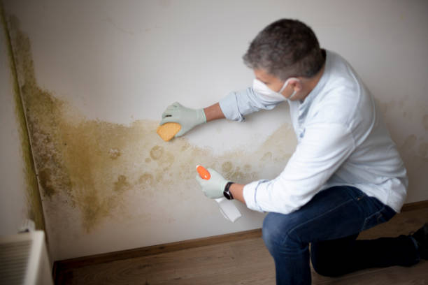 Best Mold Remediation for Vacation Homes  in Staten Island, NY