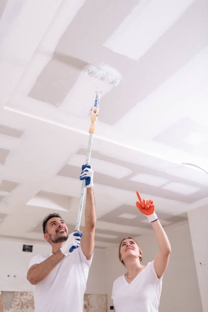 Best Mold Documentation for Insurance Claims  in Staten Island, NY