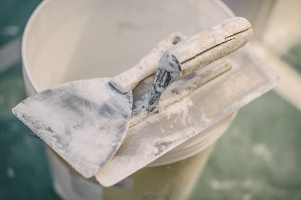 Best Biohazard Mold Removal  in Staten Island, NY